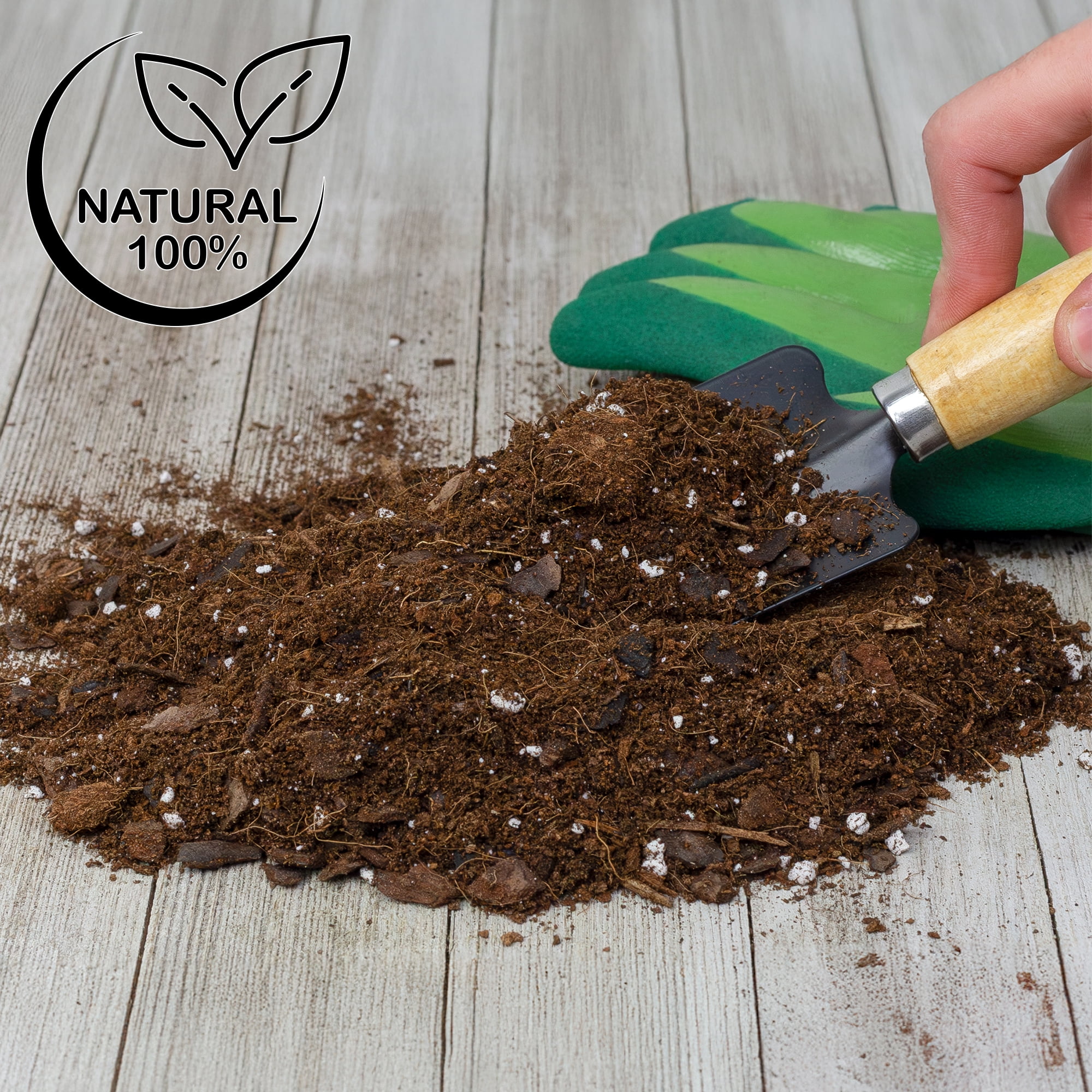 Aroid Plant Potting Soil Mix (4 Quarts), for Pothos Devil's Ivy