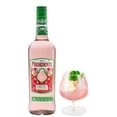 thumbnail image 3 of Pack de 4 Licor de Brandy Presidente Sandía Chile 700 ml, 3 of 3