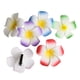 thumbnail image 1 of EeaseMX 12 horquillas hawaianas con diseño de flor de plumeria, accesorio para el cabello de novia, ideal para fiestas en la playa, bodas y eventos (9 cm, colores variados), 1 of 7