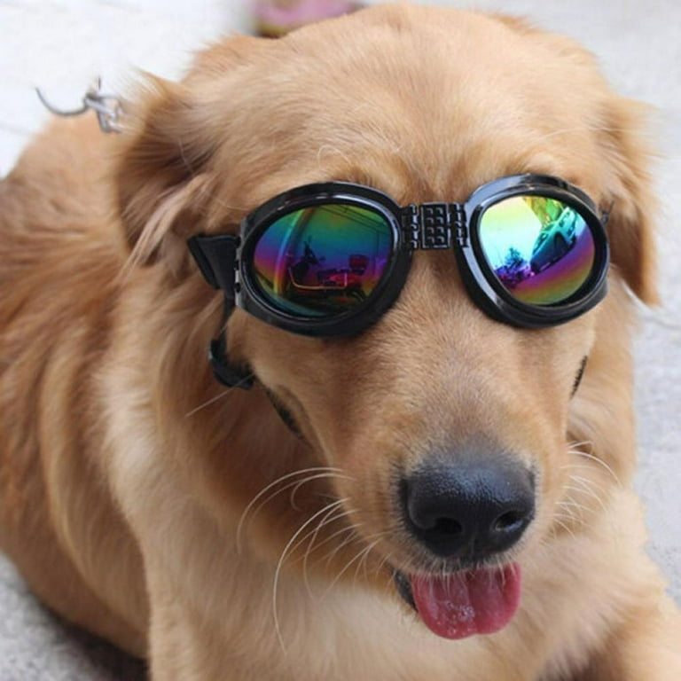Pet Glasses Dog Sunglasses Dog Glasses Golden Retriever Samoyed