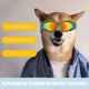 thumbnail image 5 of Gafas para perros de raza mediana y grande, gafas de sol para perros con protección UV con almohadilla de esponja y correa ajustable, a prueba de viento y polvo, 5 of 5