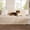 Sandy Tan, variant on Waterproof Bed Cover for Dogs Washable - Waterproof Blanket for King Bed Couch Sofa Cozy, Lightweight Furniture Protector for Pet Cat Quick Drying, Ash Grey, Cal King，82x120IN