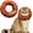 Brown, variant on Cat Cone Collar Soft, Cat Recovery Collar for Wound Healing Cute Cat Donut Adjustable Cat Cones to Stop Licking Comfortable Lightweight Neck Elizabethan Collars for Cats Kittens After Surgery