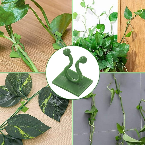 10 fijadores de pared para plantas trepadoras de eneldo verde | Clips adhesivos antihuellas para sujetar plantas, para azulejos y vidrio de acero inoxidable | Diseño de perilla ajustable para