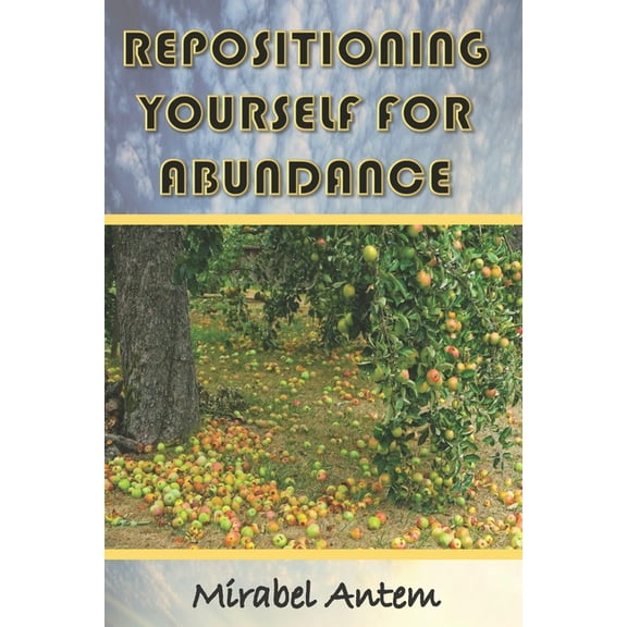 Repositioning Yourself for Abundance (Paperback)