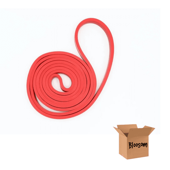Liga Resistencia Ligera Bloosom - Banda Ejercicio Pull Ups Crossfit Rojo