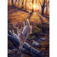 thumbnail image 1 of Diamond Painting (DE6475) 5D DIY Square Sunset alce Dibujo 45x60cm FLhrweasw Nuevo, 1 of 1