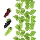 thumbnail image 1 of 3 racimos de uvas falsas Simulación de frutas Uvas artificiales realistas ShuxiuWang 8390612257650, 1 of 1