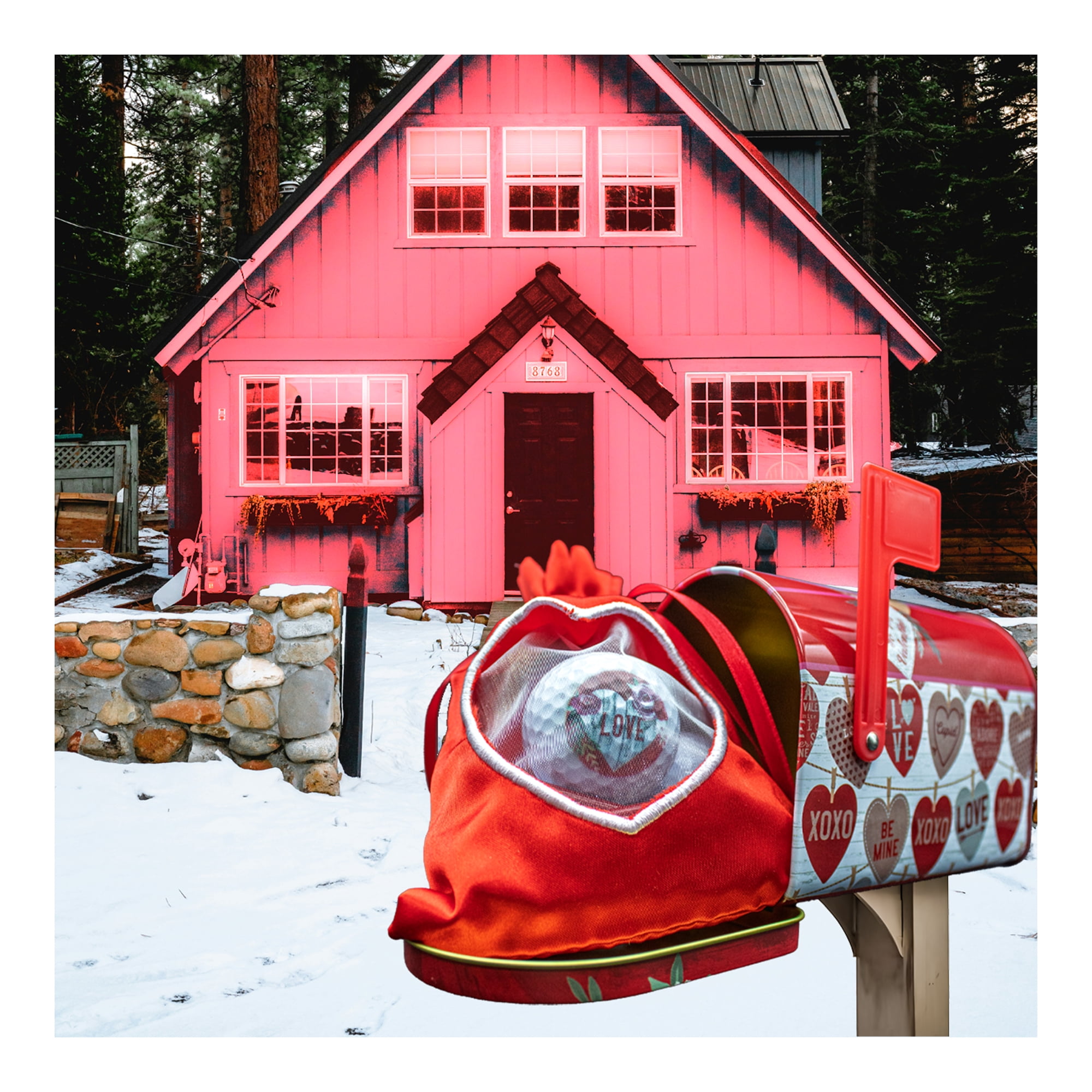 Valentines Day Love and Roses 3 Ball 20 Tee Tin Set by GBM GOLF