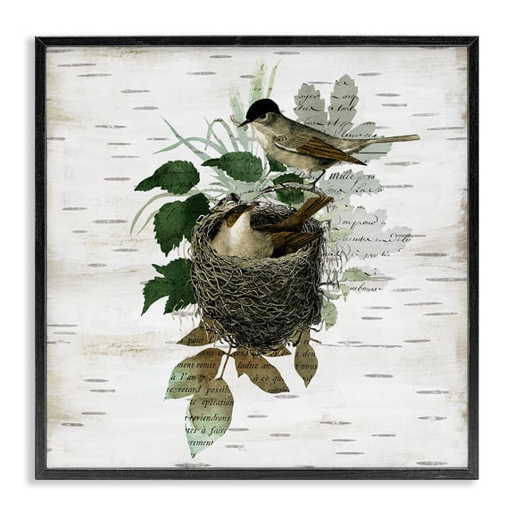 Stupell Industries Birds in Vintage Nest Animals Painting Black Framed Art Print Wall Art, 12 x 12