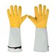 thumbnail image 1 of Guantes de jardinería de manga larga para r arbustos de acebo cortando de jardinería S, 1 of 8