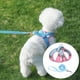 thumbnail image 4 of Juego de arnés y correa para perros para caminar, arnés de chaleco a prueba de con malla suave, Rosa Zulema  Arnés de chaleco para cachorros, 4 of 7
