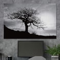 thumbnail image 3 of HFDF Canvas Wall Art A Wisdom Tree with Sunrise on The Hillside Nature Wilderness Photography Modern Art Contemporary Dramatic Black and White for Living Room, Bedroom, Office - 24x16inch Framed, 3 of 4