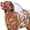 for Fast and Easy at Home Dog Cleaning, Blue/Grey, variant on Zengdainm Dog Bath Supplies, Pet Shower Attachment, Pet Bath Booster Shower Head, Including Hoses and Magnetic Bases, for Both Cats and Dogs