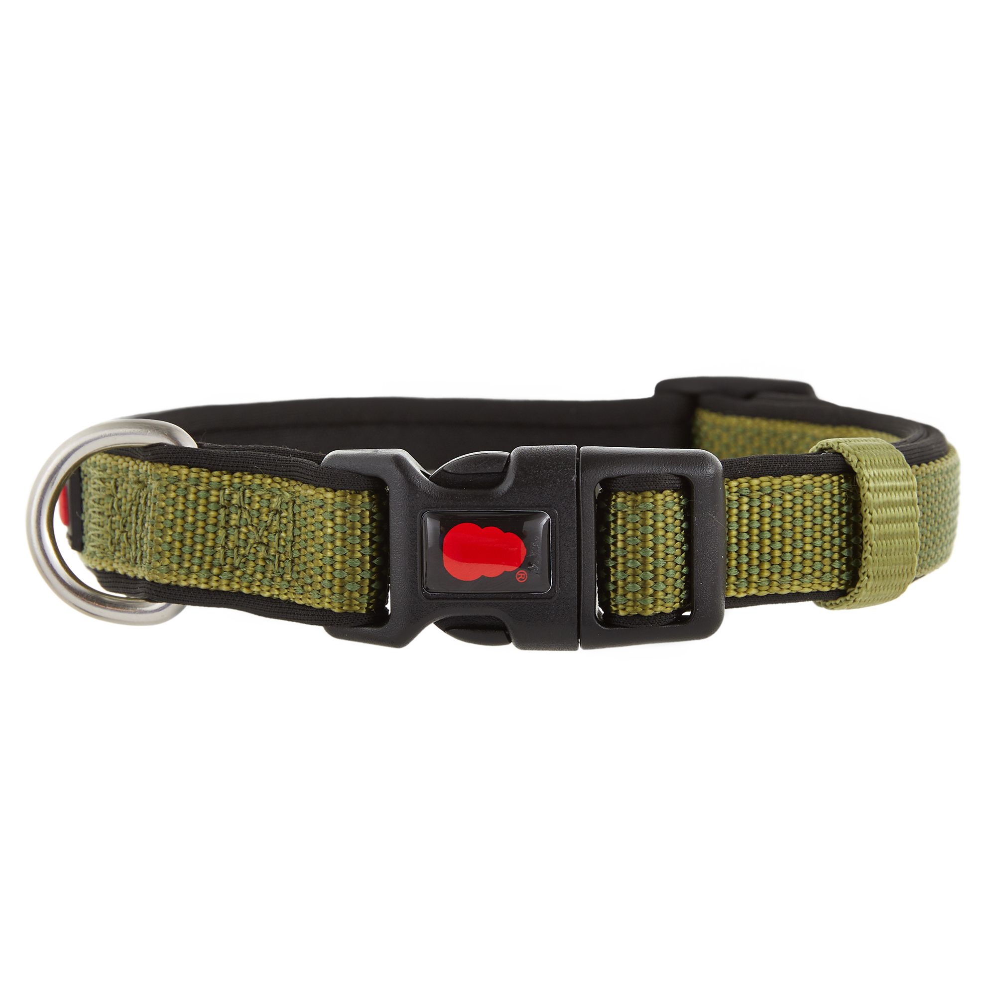 KONG Comfort Neoprene Padded Dog Collar Offered by Barker Brands Inc. (Medium, Green)