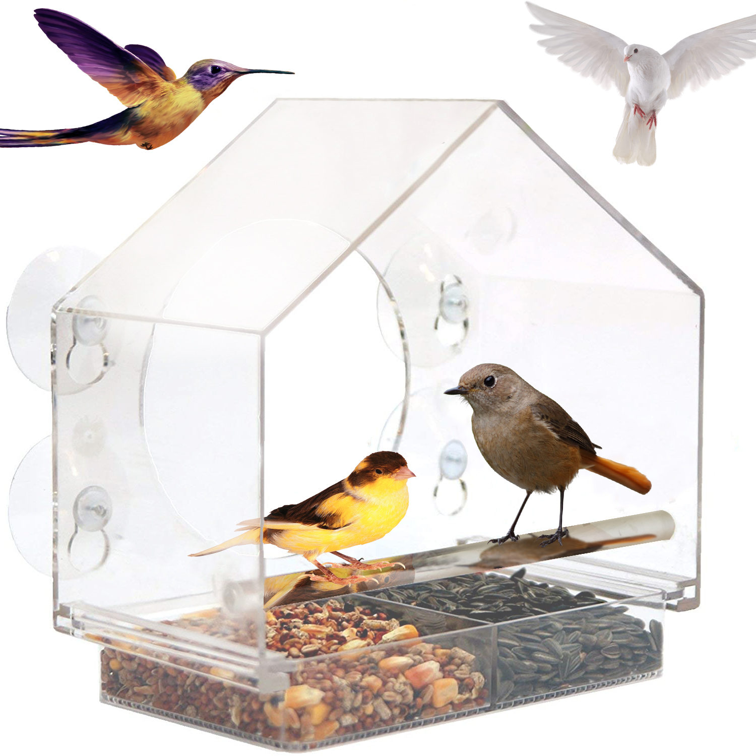 Window Bird Feeder, Large Bird feeders with 4 Extra Strong Suction Cups