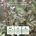 thumbnail image 3 of Organic Way Krishna Tulsi / Holy Basil Powder (Ocimum Tenuiflorum) | Herbal Tea - Organic & Kosher Certified | Raw, Vegan, Non GMO & Gluten Free | USDA Certified | Origin - India (1LBS / 16Oz), 3 of 4