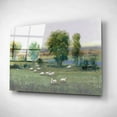 thumbnail image 2 of Epic Art 'Field of Sheep I' by Tim O'Toole, Acrylic Glass Wall Art, 24"x16", 2 of 3