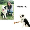 thumbnail image 3 of Electric Low noise Pet Cat Dog Hair Cutting Clipper Trimmer Shaver Grooming Set Kit, 3 of 8