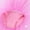 Pink, variant on Girls Shiny Sequins Ballet Tutu Dress Gymnastic Exercise Leotard Dress