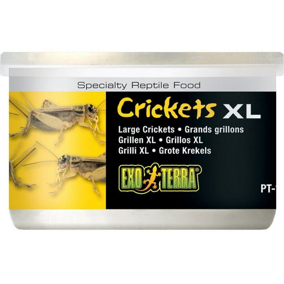 Exo Terra Canned Crickets XL Specialty Reptile Food - DS