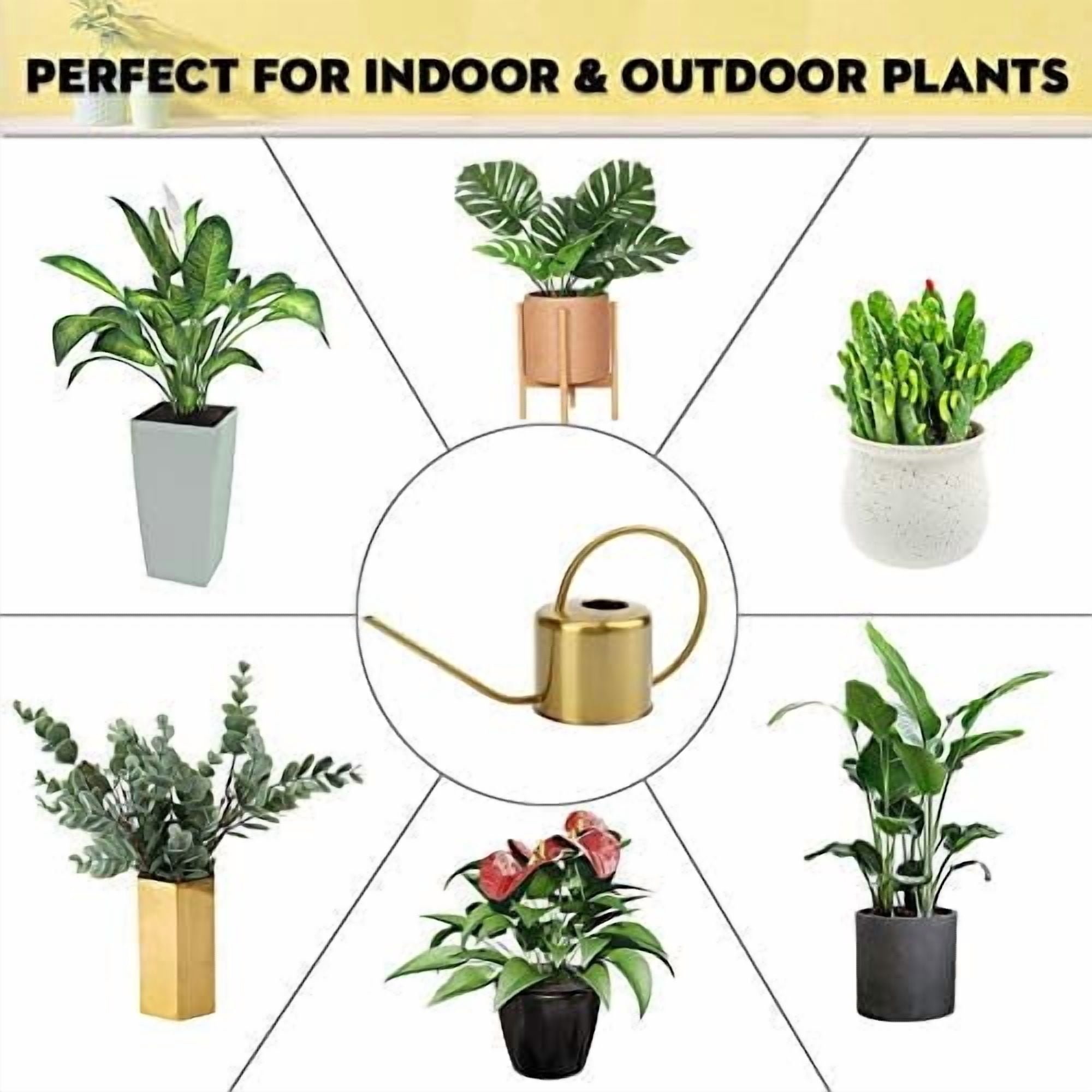 Watering Can Indoor Outdoor Stainless Steel Watering Cans for House Plants Long Spout Water Can for Succulent Bonsai Garden Flower(40oz/1300ml) Watering Can