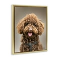 thumbnail image 3 of Stupell Industries Fluffy Toy Poodle Portrait Animals Painting Gold Floater Framed Canvas Art Print Wall Art, 25 x 31, 3 of 9