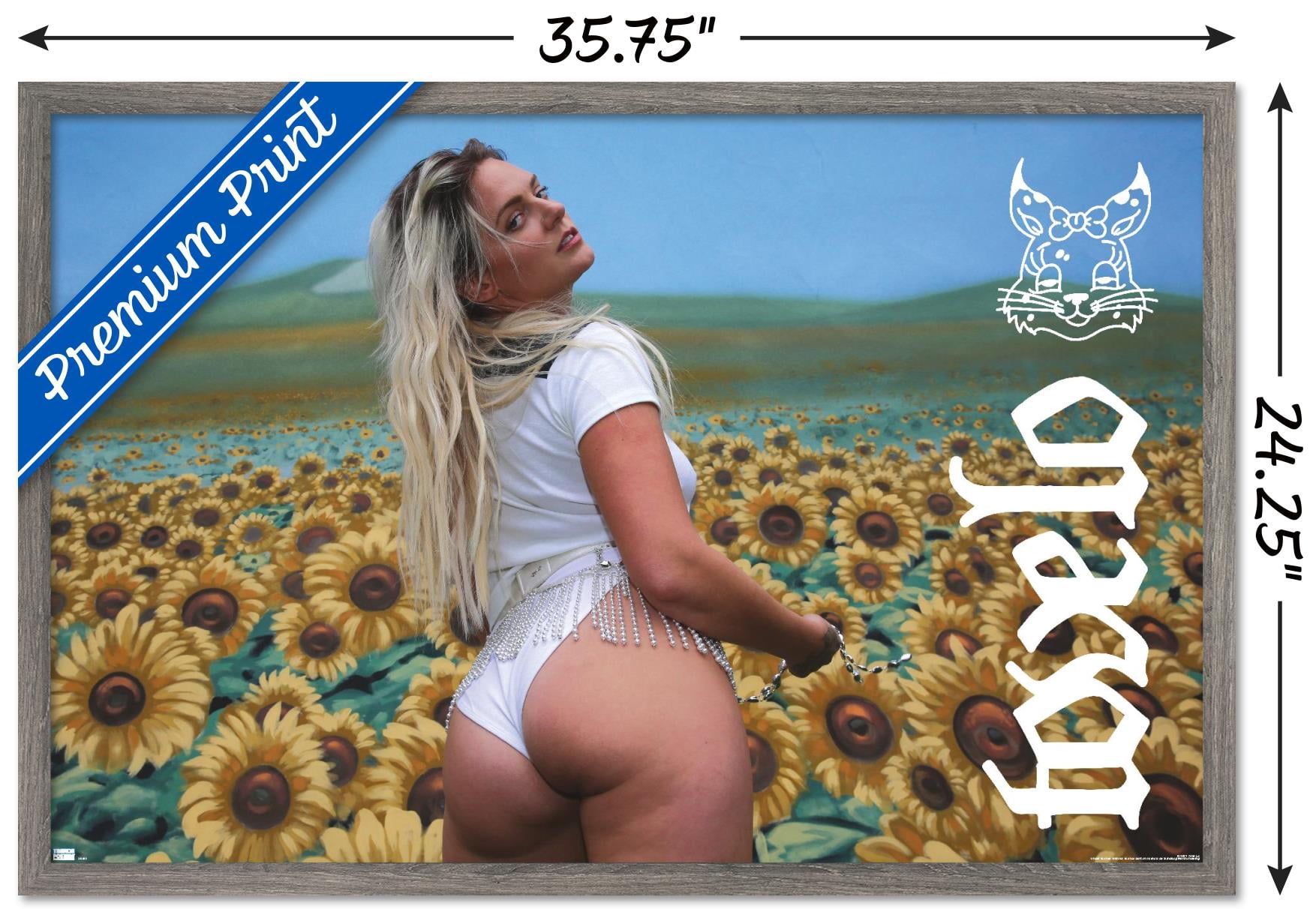 Tove Lo - Sunshine Kitty Wall Poster, 22.375" x 34", Framed