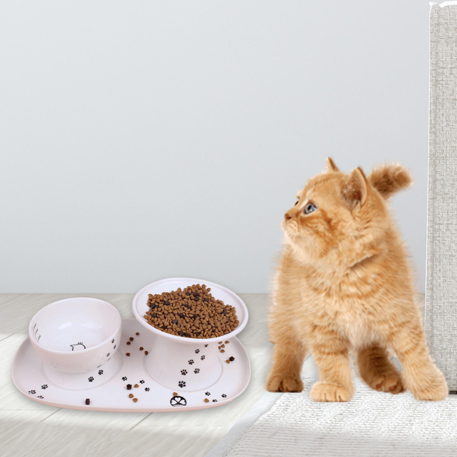 Elevated Ceramic Kitten Feeding Tray Water Bowl Tray Feeding Drinking Elevated Cat Food Bowl Platter Puppy Kitten Accessories