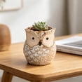 thumbnail image 5 of Cute Owl Ceramic Planter 2.6 Inch, Small Succulent Cactus Flower Pot for Indoor Outdoor Home Office Decor, Animal Style Tabletop Garden Decor Pot Gift, 5 of 6