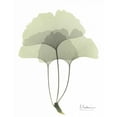 thumbnail image 2 of Koetsier, Albert 20x24 White Modern Wood Framed Museum Art Print Titled - Gingko in Pale Green 3, 2 of 4