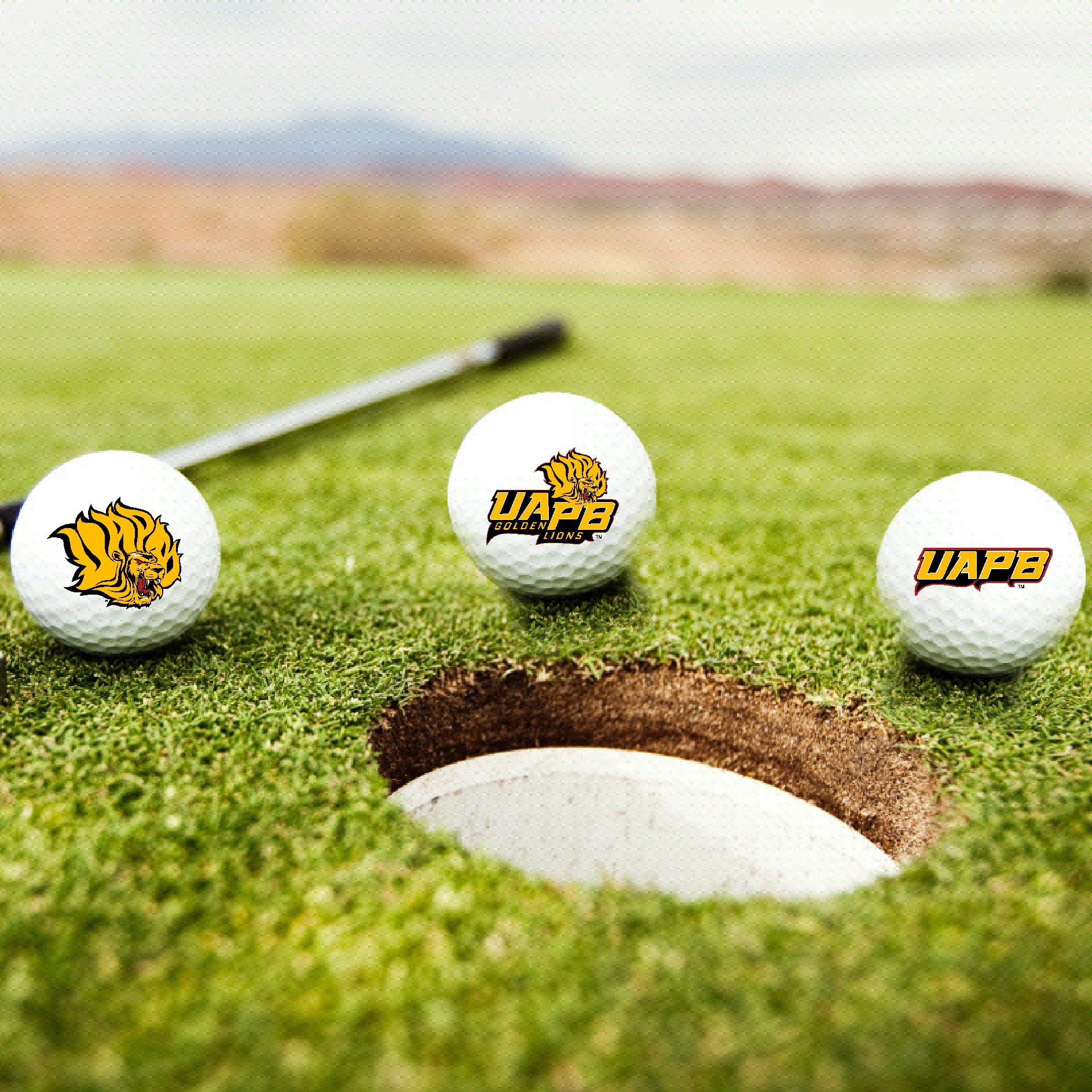University of Arkansas at Pine Bluff Golden Lions Logo Edition Taylormade Distance+ Golf Balls 12-Pack (Dozen)