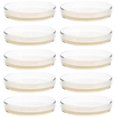 thumbnail image 1 of 10pcs Prepoured Agar Plates Petri Dishes With Agar Science Experiment Supplies, 1 of 3