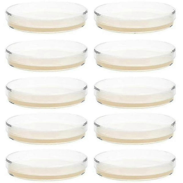 10pcs Prepoured Agar Plates Petri Dishes With Agar Science Experiment Supplies