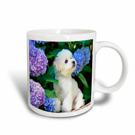 3dRose Adorable Bichon Frise Puppy Among Hydrangeas, Ceramic Mug,