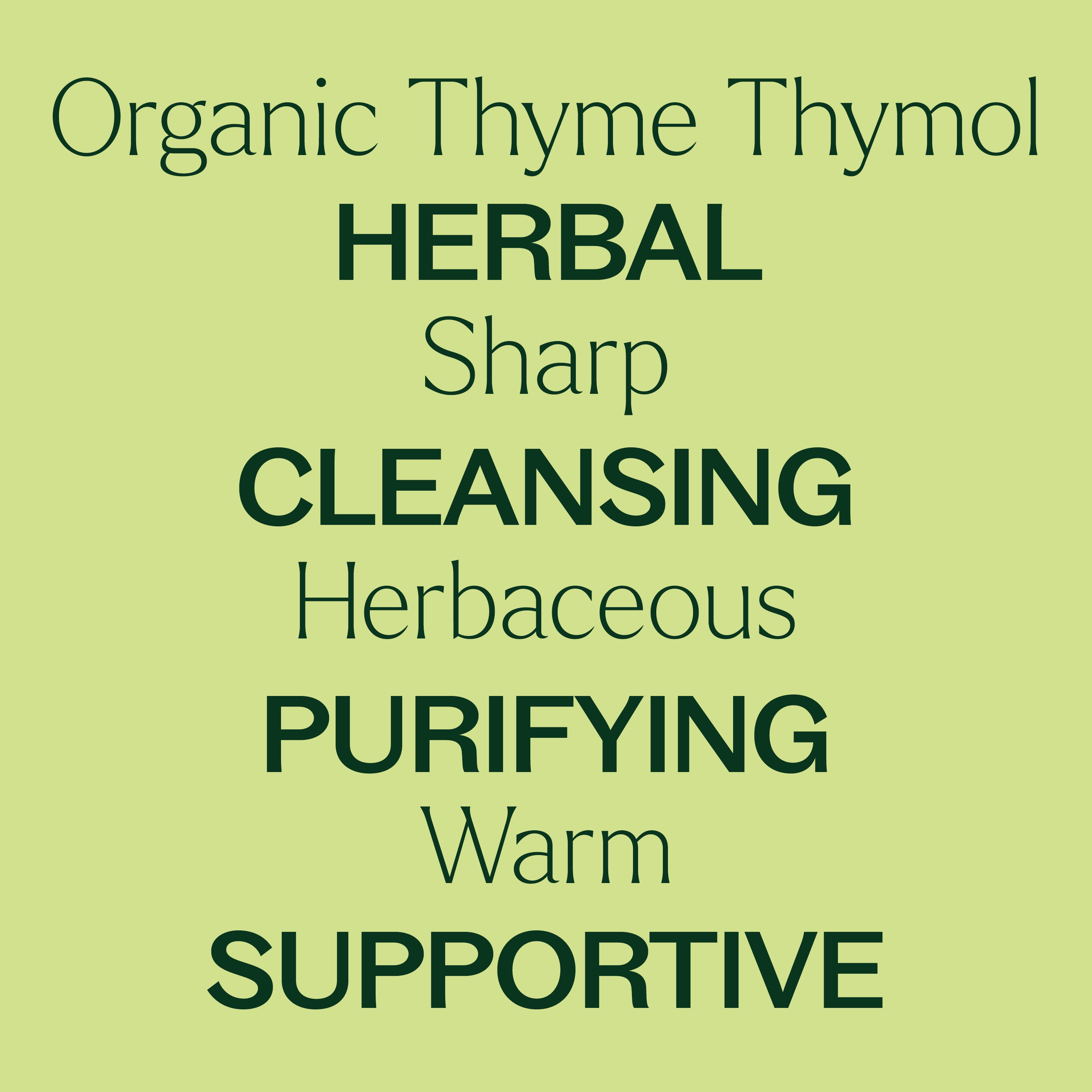Plant Therapy Thyme Thymol Organic Essential Oil 10 mL (1/3 oz) 100% Pure, Undiluted, Natural Aromatherapy