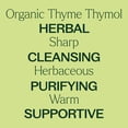 thumbnail image 4 of Plant Therapy Thyme Thymol Organic Essential Oil 10 mL (1/3 oz) 100% Pure, Undiluted, Natural Aromatherapy, 4 of 8