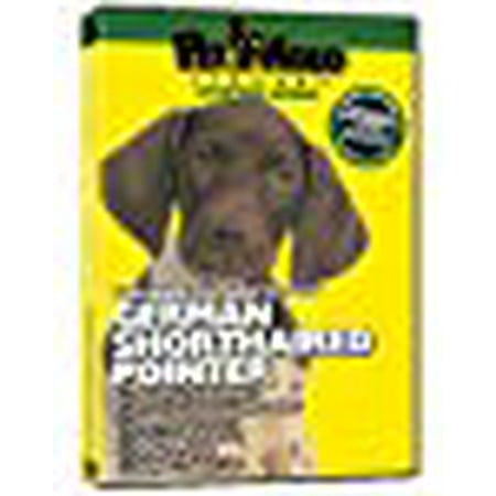 GERMAN SHORTHAIRED POINTER DVD: Everything You Should Know + Dog & Puppy Training