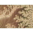 thumbnail image 1 of Ahgly Company Machine Washable Indoor Rectangle Transitional Saddle Brown Area Rugs, 2' x 3', 1 of 7