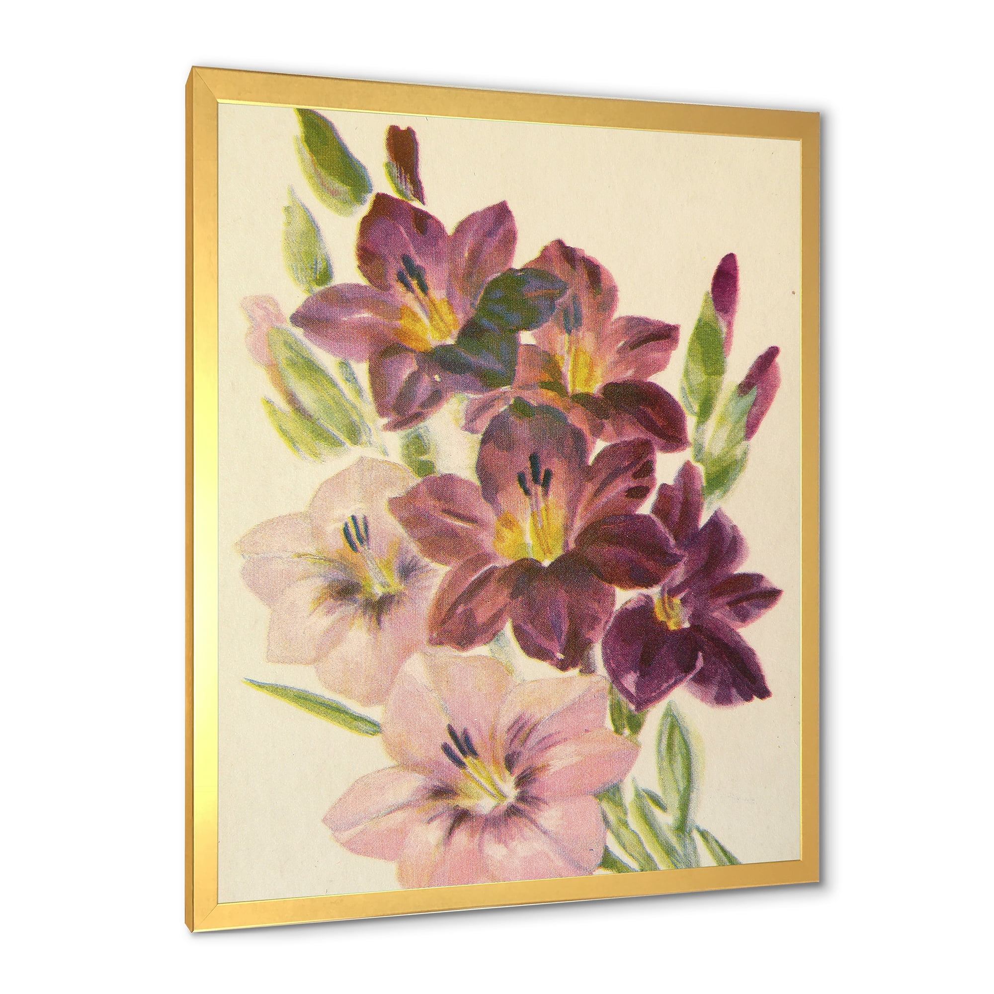 Designart 'Retro Dark and Light Pink Gladiolus' Traditional Framed Art Print