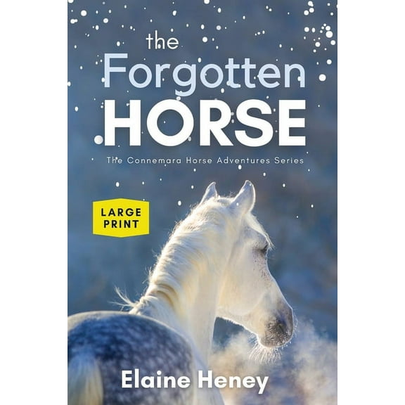 Connemara Horse Adventure Series Large P The Forgotten Horse - Book 1 in the Connemara Horse Adventure Series LARGE PRINT, Book 1, (Paperback)