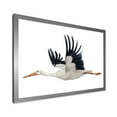 thumbnail image 2 of Designart 'White Stork Ciconia Flying Bird ' Traditional Framed Art Print, 2 of 4
