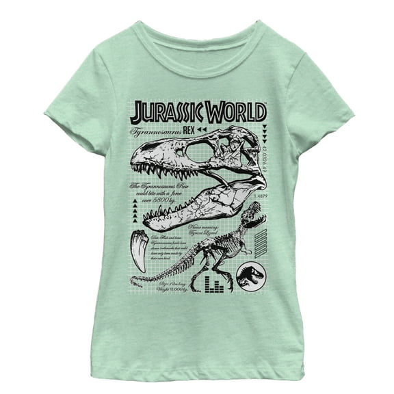 Girl's Jurassic World: Fallen Kingdom T. Rex Details  Graphic Tee Mint Small
