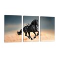 thumbnail image 1 of Cuadro Decorativo Tríptico Vertical Caballo Negro Canvas Revolution Set De 3 Cuadros 30x45 cm, 1 of 5