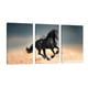 thumbnail image 1 of Cuadro Decorativo Tríptico Vertical Caballo Negro Canvas Revolution Set De 3 Cuadros 30x45 cm, 1 of 5