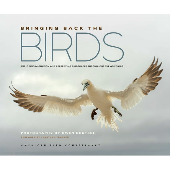 Bringing Back the Birds: Exploring Migration and Preserving Birdscapes Throughout the Americas, (Hardcover)