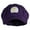 Purple, variant on Mario Luigi Wario Waluigi Patched Cotton Elastic Newsboy Cap - Yellow OSFM