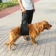 thumbnail image 3 of Elevador Para Perros Negro, Arnés De Rehabilitación Con Pata Delantera Para Perros Y Asa De Apoyo Para Ayuda Canina XL, 3 of 7