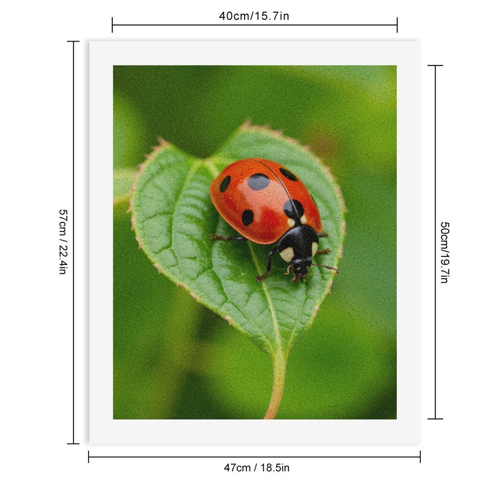 Paint by Numbers Kit for Adults, Red Ladybug On Green Leaf Paint by Numbers, Easy Paint by Numbers Kit for Adults Beginner, DIY Adult Paint by Number Kits on Canvas, 12x16in Home Decor
