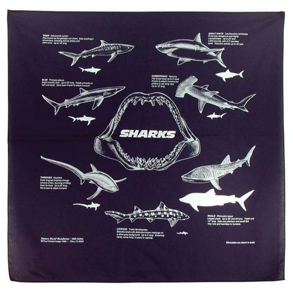 Sharks Bandana-Option:Sharks Bandana